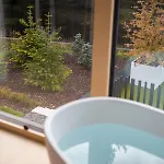 Lanina Luxury Mountain Escape * הוקו פורז'ה