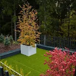 Lanina Luxury Mountain Escape *